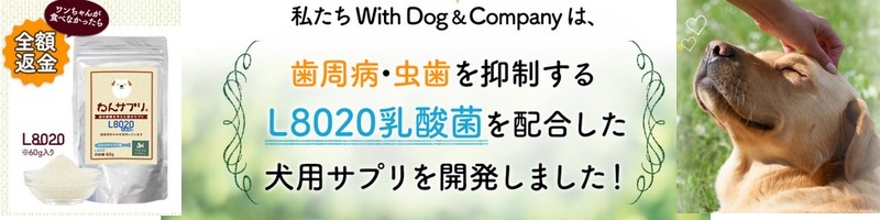 �������𐮂�����T�v�����T�C�g